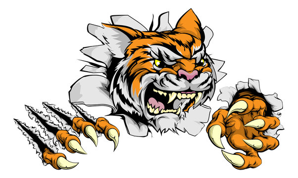 Tiger mascot claw breakthrough