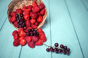 Red currant and raspberry  in a basket on white wooden background