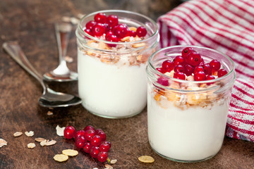 fresh yogurt with granola and  fruit