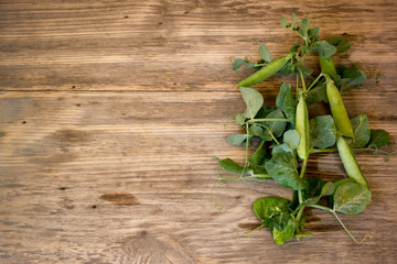 ripe pods of green peas on a dark wooden table