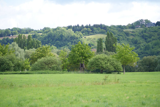 Hochsitz