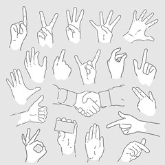 Set of Vector Hand