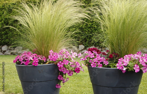 "blumentöpfe im garten" Stockfotos und lizenzfreie Bilder auf Fotolia