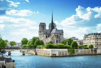 Foto op Aluminium Notre Dame van Parijs, Frankrijk © Iakov Kalinin