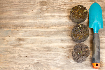 Gardening tool on old wooden background. Copy space to right.