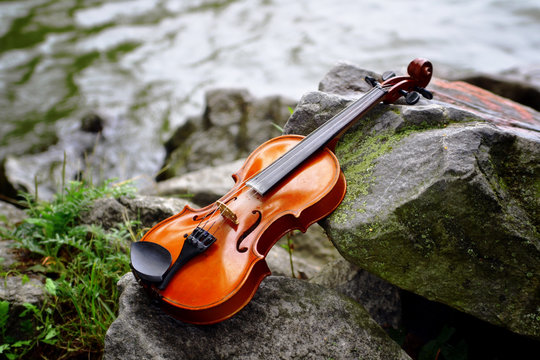 composition with violin and stones