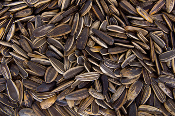close-up image of sunflower seeds on white