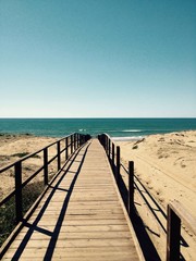 Obraz premium Kładka dla pieszych nad morzem, Sabaudia (Lazio)