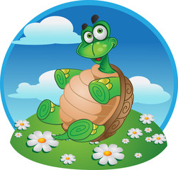 Naklejka premium Fun Tortoise on color background