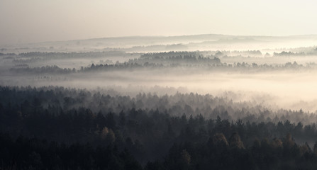 Mgły © Aleksandra Madejska