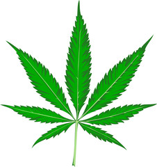 Cannabis Leaf svg 38kb 16 elements