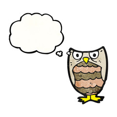 cartoon owl with thought bubble