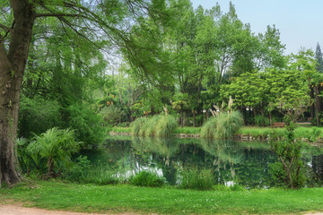 mountain  lake surrounded by green forest trees