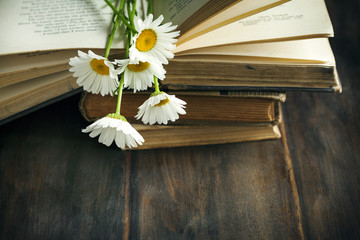 Obraz premium Vintage books and chamomiles on wooden background