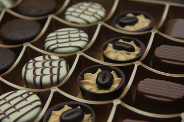 Chocolate candies in a box