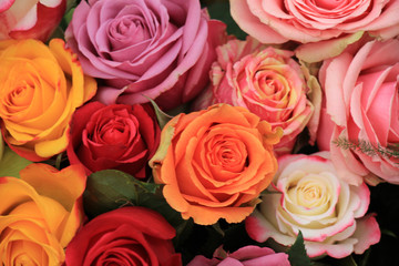 Multicolored wedding roses