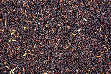 Texture of raw purple Riceberry rice