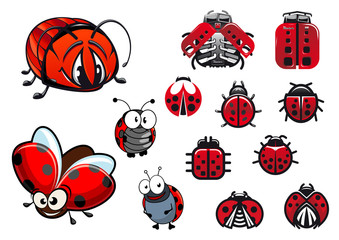 Fototapeta premium Ladybugs, ladybirds and beetles cartoon insects