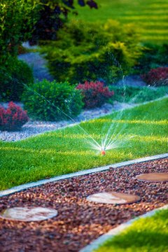 Backyard Garden Watering