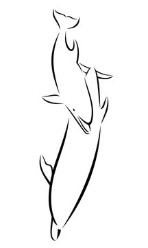 outline image of big and small dolphins