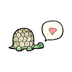 cartoon tortoise