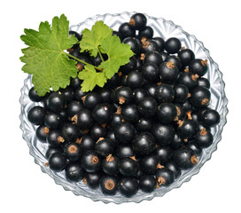 Blackcurrant