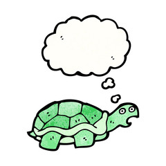 cartoon tortoise