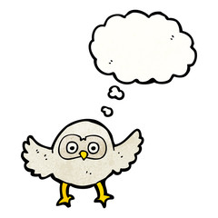 cartoon owl