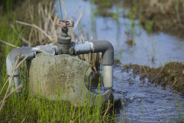 田植え前の水はり
