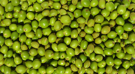 Green young walnuts