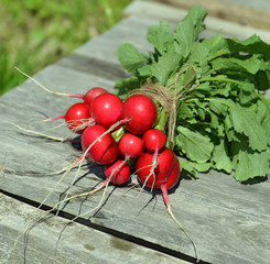 Bundle of fresh radishes on old table, vintage still life