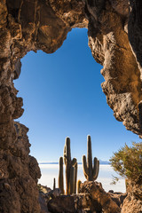 Isla de Pescadores, Salt lake Uyuni in Bolivia