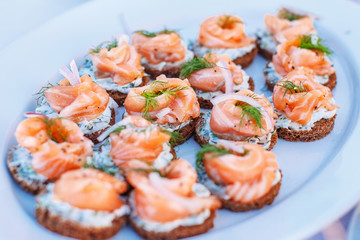 Snacks with salmon on white plate.