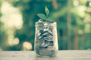 plant growing out of coins with filter effect retro vintage styl