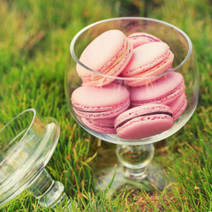 Macarons glass bowl on green grass background