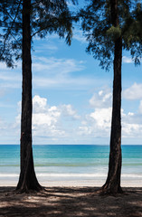 Beautiful nature of sea