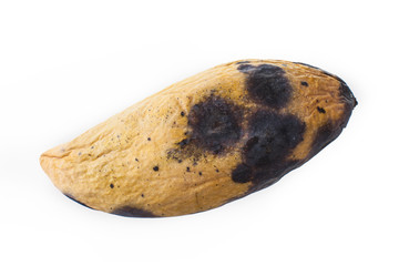 rotten Barracuda mango on isolated white background