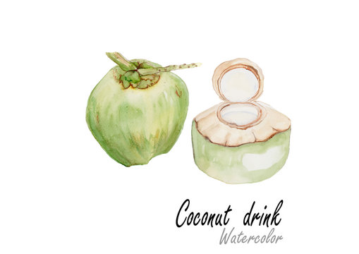 Coconut drink.Hand drawn watercolor painting on white background.Vector illustration