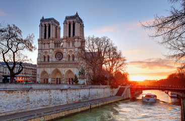 Fototapeta na wymiar Paris - Notre Dame at sunrise, France