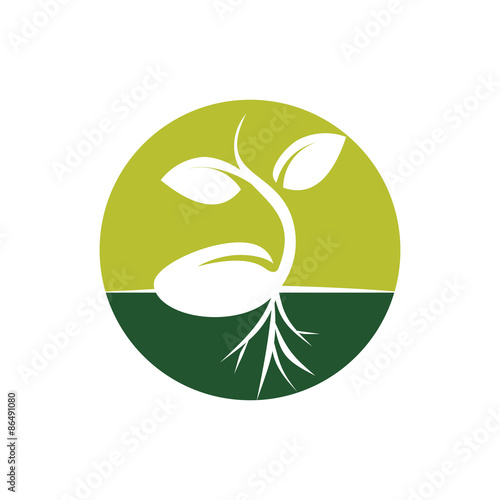 "Circle Sprout Seed Grow Vector Illustration" Stock image and royalty