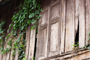 An old house has been abandoned for years. Some plants grow on the house due to none of care and...