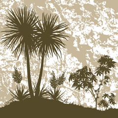 Palms, Plant and Abstract Background
