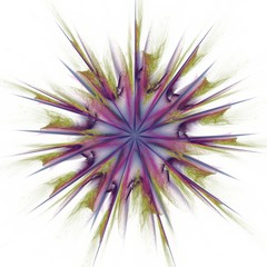 Stern als Computergrafik mit wei&szlig;em oder schwarzem Hintergrund.Geeignet als Motiv f&uuml;r Gru&szlig;karte oder Poster