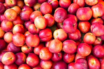 Heap Of Fresh Ripe Nectarines as a background