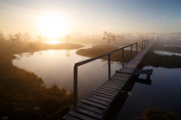 Sunrise in bog