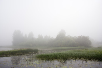 Foggy morning on lake