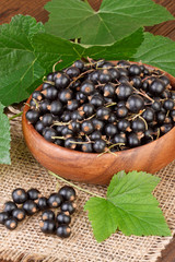 Black Currant Berry in a wooden bowl