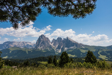 il monte sotto il pino