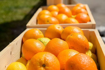 Oranges in wooden crates