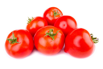 tomatoes on a white background